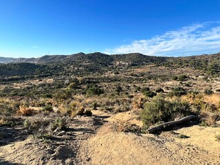 landscape near the city of Badalona in December