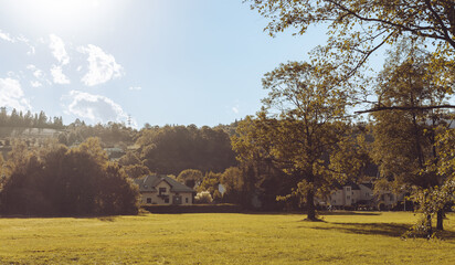 Lush green meadow with houses and trees bathed in sunlight, creating a serene and picturesque scene in wisla, poland, with a bright blue sky and fluffy white clouds