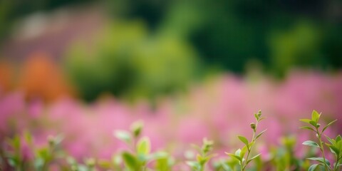 Obraz premium Blurred image of serene natural background featuring water and plants, foliage, botanical