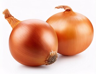 Onion isolated on white background with full depth of field