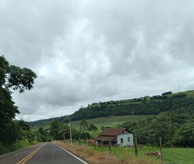 Imagem de um sitio com gado pastando.vida bucolica