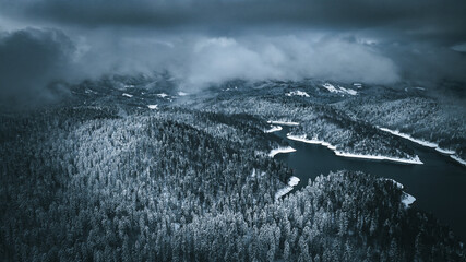 Lake during winter with trees covered in snow and dark skies