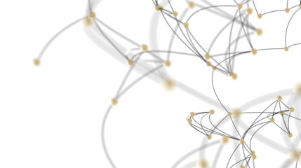 Abstract Network Connections with Golden Nodes