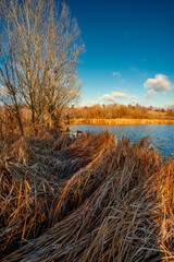 Landscape photography on the wide-angle lense, river at the morning in the fall season.Blue and beautiful water,reclections on water.Clouds in the blue sky, trees on the beach , sunny morning.Branches
