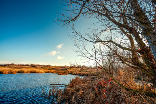 Landscape photography on the wide-angle lense, river at the morning in the fall season.Blue and beautiful water,reclections on water.Clouds in the blue sky, trees on the beach , sunny morning.Branches