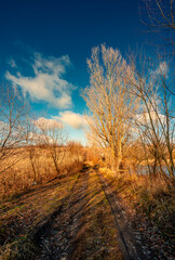 Road in the forest ,autumn landscape , beautiful colors and beauty sky with sun and clouds.Lot of orange colors , fall season .Sunlights through the sky and clouds