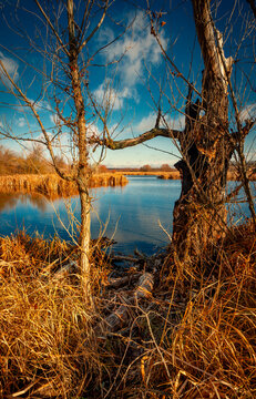 Landscape photography on the wide-angle lense, river at the morning in the fall season.Blue and beautiful water,reclections on water.Clouds in the blue sky, trees on the beach , sunny morning.Branches