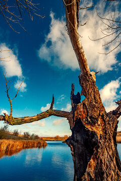 Landscape photography on the wide-angle lense, river at the morning in the fall season.Blue and beautiful water,reclections on water.Clouds in the blue sky, trees on the beach , sunny morning.Branches