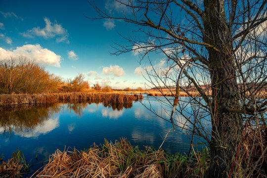 Landscape photography on the wide-angle lense, river at the morning in the fall season.Blue and beautiful water,reclections on water.Clouds in the blue sky, trees on the beach , sunny morning.Branches