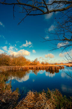Landscape photography on the wide-angle lense, river at the morning in the fall season.Blue and beautiful water,reclections on water.Clouds in the blue sky, trees on the beach , sunny morning.Branches