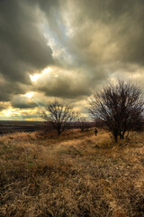 Fototapeta premium Big blue and orange clouds , over the field , sunlights through the clouds in the sky.Beautiful landscape on the field .Agriculture field and the sky.Sunset on the sky withot the sun.Orange sky nature