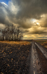 Fototapeta premium Big blue and orange clouds , over the field , sunlights through the clouds in the sky.Beautiful landscape on the field .Agriculture field and the sky.Sunset on the sky withot the sun.Orange sky nature