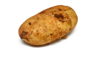 Unique rustic potato with earthy texture and natural imperfections on a clean white background