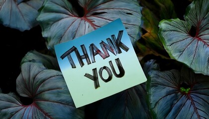 Sticky notes with the text "Thank you".Post it.	
