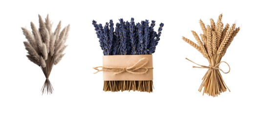 Collection of dried flowers showcasing pampas grass, lavender, and wheat in simple bundles for decorative purposes
