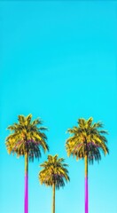 Fototapeta premium Three palm trees are standing in front of a blue sky