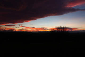 Sunset in the trees 