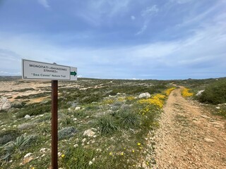 Sea Caves Nature Trail Signpost Along a Rocky Path Surrounded by Blooming Wildflowers and Open Landscape Under a Clear Blue Sky