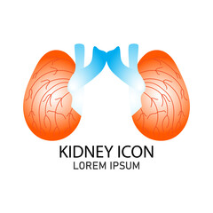 kidney logo icon,vector illustration