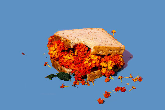 Creative floral sandwich on vibrant blue background