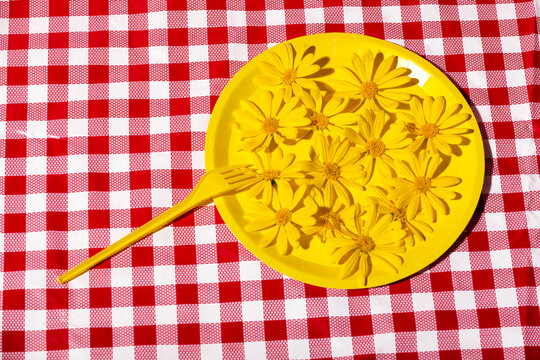 Vibrant yellow flowers on plate against checkered background