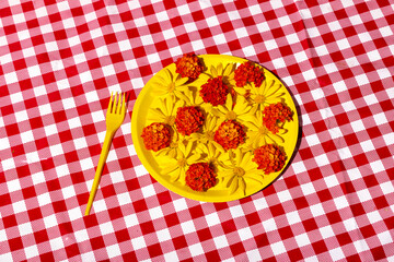 Bright picnic plate with flowers and checkered tablecloth