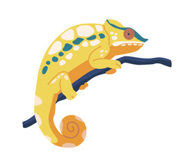 Yellow chameleon with spotted skin