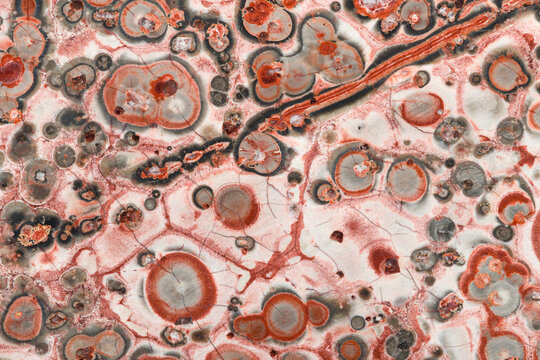 Close-Up of Leopard Skin Jasper, Jaguar Stone, Patterns