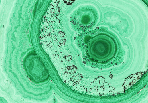 Macro Photograph of Polished Malachite Stalactite Cross-Section