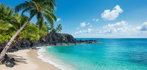 Tropical beach with palm trees and clear blue water under a sunny sky.