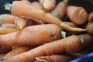 Fresh Carrots Close Up