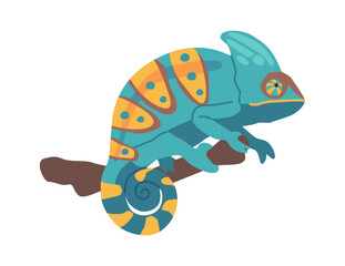 Gecko tropical reptilian vector illustration