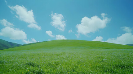 Fototapeta premium Serene Green Hill with Blooming Meadow under Blue Sky