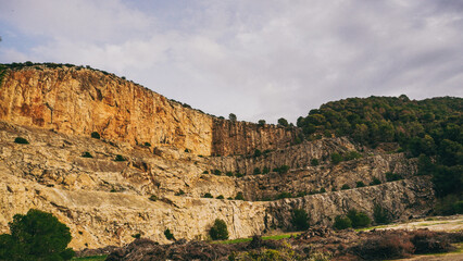 Breathtaking and Stunning Rock Formations Set Amidst Lush Greenery of Natures Beauty