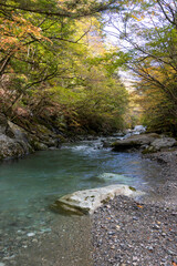 奥祖谷を流れる祖谷川　秋　(徳島県　三好市）