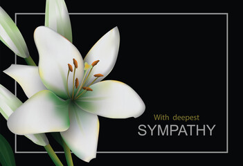 White lily flower with buds mourning bouquet close-up in the black background. Vector conceptual illustration with the inscription With deepest sympathy and place for additional text.