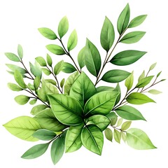 Fototapeta premium Lush Green Watercolor Collection Featuring Various Leafy Elements in a Vibrant and Natural Design, Perfect for Artistic and Nature-Inspired Projects