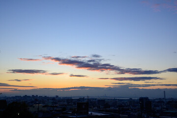 都市の夜明け。神戸岡本の高台より市街地をのぞむ