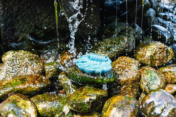 Decorative sink in water