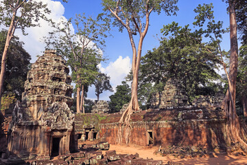 Obraz premium Ta Prohm temple, part of the Angkor Wat complex, Seam Reap, Cambodia