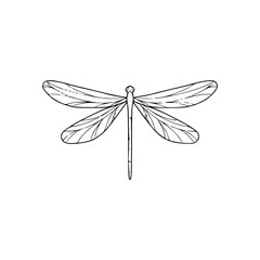 a line art drawing of a dragonfly
