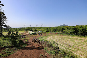 산 정상을 올라가는 숲 길 제주 제주시 한림읍 금악리 문도지오름