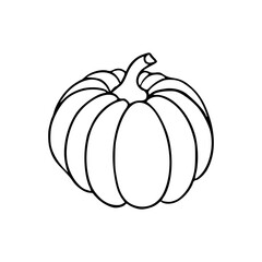 a line art drawing of a pumpkin isolated on white