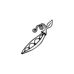 a black and white drawing of a pea pods icon