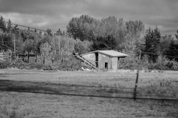 old barn, black and white