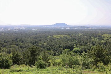 산 정상에서 바라보는 풍경 제주 제주시 한림읍 금악리 문도지오름