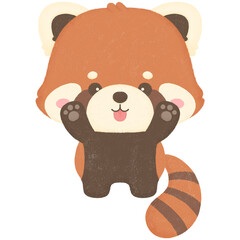 Red panda 18