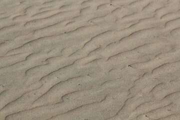The shape of sand on Dadaepo Beach in Busan created by the wind
