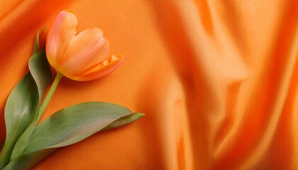 Orange Tulip Flower on a Draped Soft Orange Silk Fabric
