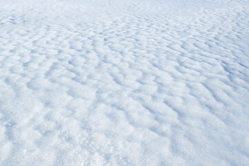 Texture of the surface of the snow crust.